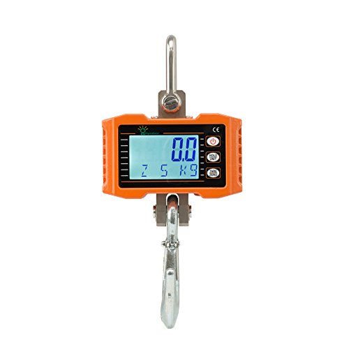 Hyindoor 1T 1000KG Smart Schwere Typ Crane Maßstab mit Alulegierung von Luftfahrtqualität Elektronische Hängewaage Digital Haken Hängewaage von Hyindoor