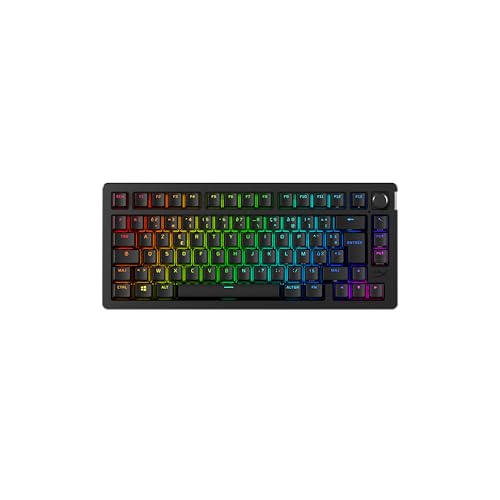 HyperX Alloy Rise 75 Wireless - Mechanische Gaming-Tastatur, 75% Hot-Swap-fähig, PC, Hintergrundbeleuchtung bis zu 80 Stunden, Dual Wireless 2,4 GHz und Bluetooth HyperX Alloy Rise 75 Wireless - Mechanische Gaming-Tastatur, 75% Hot-Swap-fähig, PC, Hintergrundbeleuchtung bis zu 80 Stunden, Dual Wireless 2,4 GHz und Bluetooth von HyperX