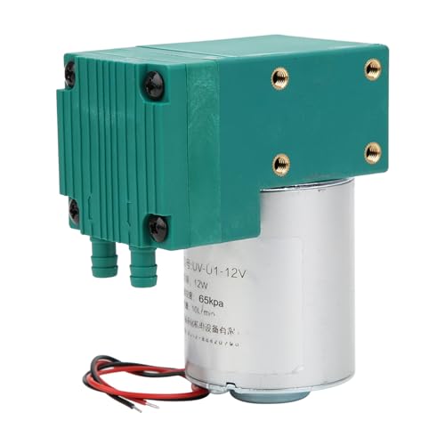 Hyuduo Vakuumpumpe mit Niedrigem Rausch -Mini -Vakuumpumpe Einfach zu Installieren DC12V/DC24V/AC220V, für den Laborgebrauch (DC12V) von Hyuduo