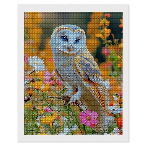 Diamond Painting Erwachsene Eule, 5D Diamant Painting Bilder, DIY Diamanten Stickerei Mosaikherstellung Bastelset Geeignet Als Geschenk, Zur Entspannung und Als Home Wanddekorationen 20x30cm r-494 von Hyupuanj