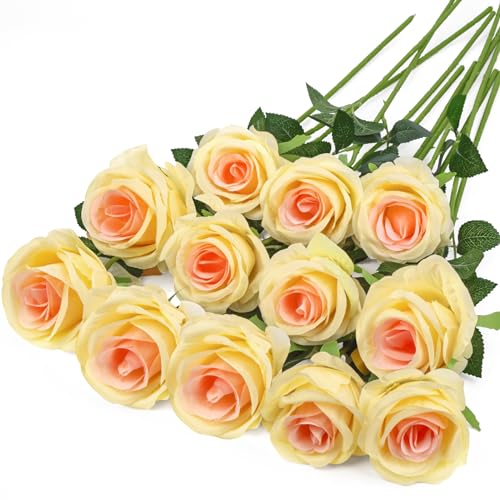 Hywean Homd 12 Stück Champagnerrosa Seidenrosen, Künstliche Rosen für Hochzeit, Zuhause, Geburtstag, Party, Dekoration von Hywean Homd