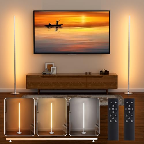 Hzitcigm LED Stehlampe Wohnzimmer, 2 Stück Stehleuchte LED Dimmbar Ecklampe mit Stufenlose Helligkeit & Farbtemperaturen 2700K-6500K, Memory-Funktion Standleuchte mit Fernbedienung für Schlafzimmer von Hzitcigm