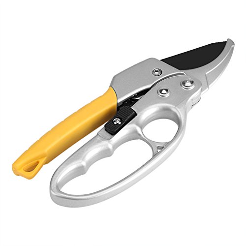 Hztyyier Astschere Gartenzweige Cutter Haarschneidemaschine High Carbon Steel Bypass Astschere Gartengeräte Hztyyier Astschere Gartenzweige Cutter Haarschneidemaschine High Carbon Steel Bypass Astschere Gartengeräte von Hztyyier