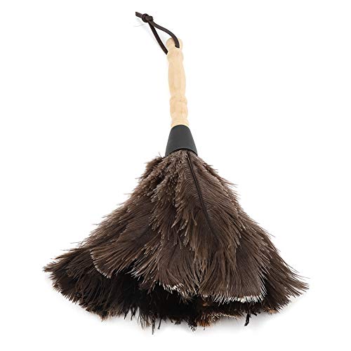 Staubwedel Straußenfedern, 13.4 Inch Straussenfedern Mini Ostrich Feather Duster mit Holzgriff von Hztyyier