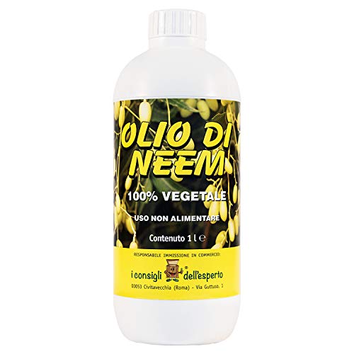 I Consigli Dell'Esperto Olio di Neem per la Protezione delle Piante Contro Varie avversità, 1 litro von I Consigli Dell'Esperto