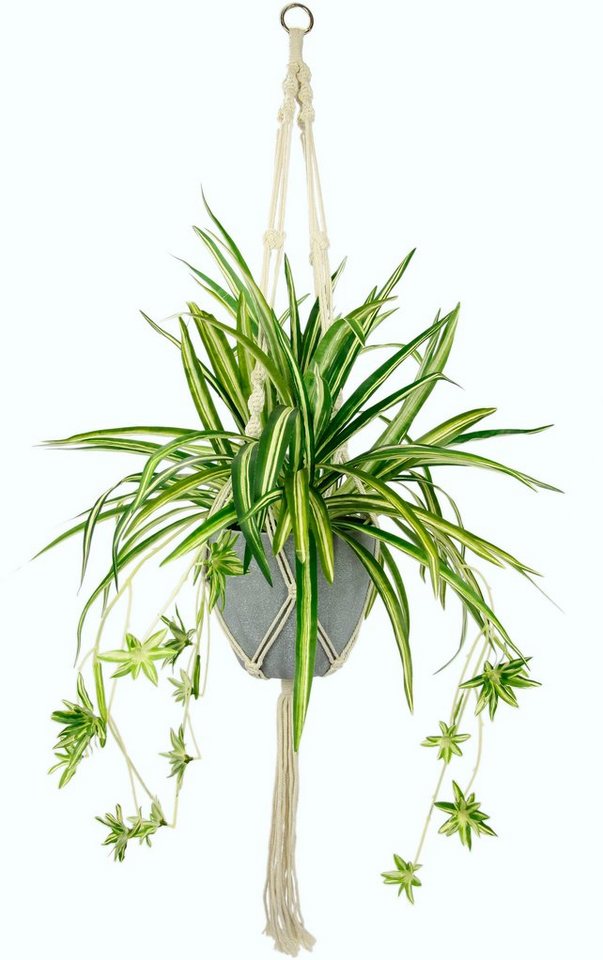 Künstliche Zimmerpflanze Wasserlilie, I.GE.A., Höhe 95 cm, im Kunststofftopf, mit Hängeampel von I.GE.A.