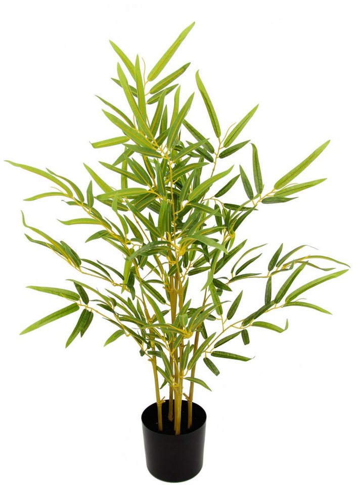 Kunstbaum Bambus, I.GE.A., Höhe 70 cm, Im Topf von I.GE.A.