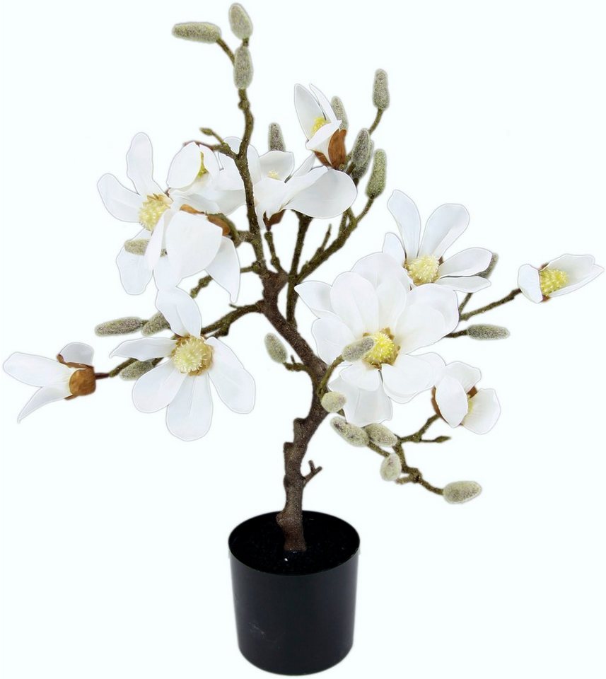 Kunstbaum Magnolienbaum, I.GE.A., Höhe 58 cm, im Kunststofftopf von I.GE.A.