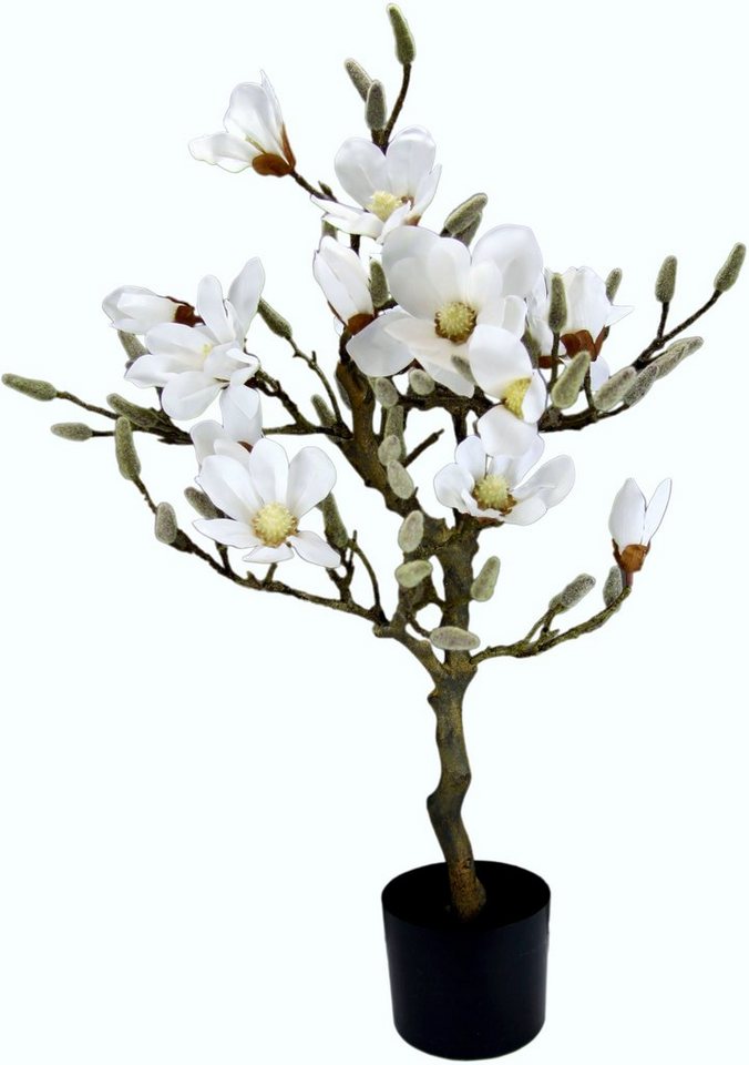 Kunstbaum Magnolienbaum, I.GE.A., Höhe 78 cm, im Kunststofftopf von I.GE.A.