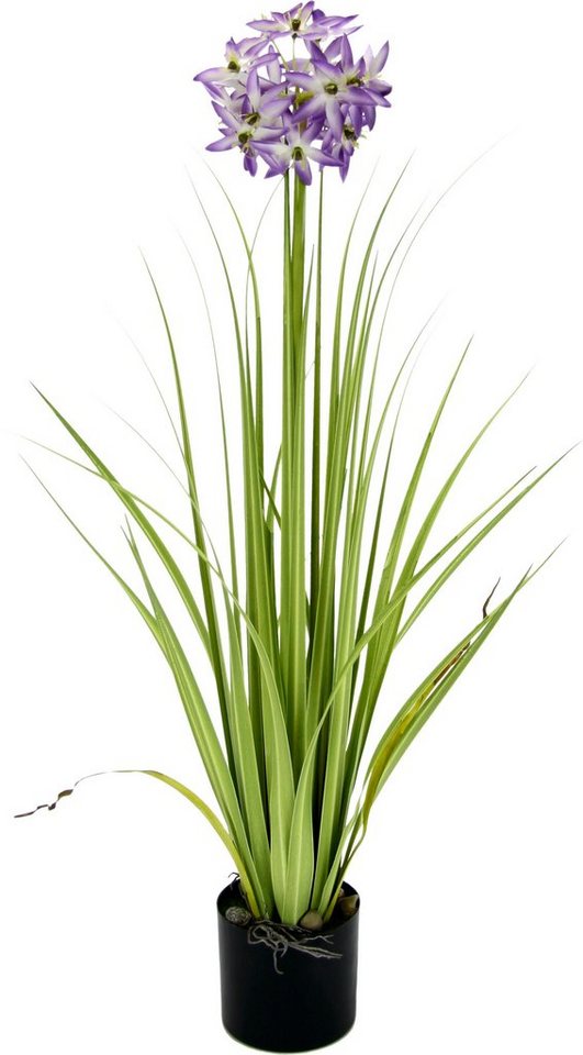 Kunstblume Allium, I.GE.A., Höhe 68 cm, im Topf von I.GE.A.
