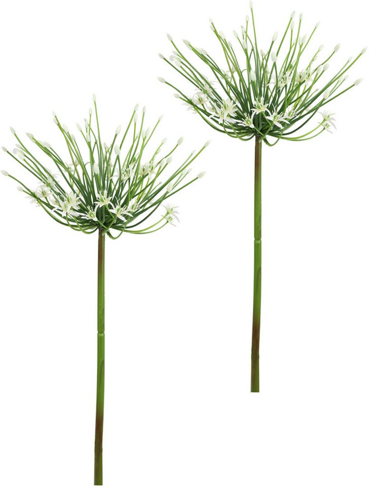 Kunstblume Allium Zierlauch, I.GE.A., Höhe 62 cm, Stielblume künstliche Blumen, 2er Set von I.GE.A.