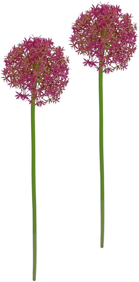Kunstblume Allium Zierlauch, I.GE.A., Höhe 80 cm, Stielblume künstliche Blumen, 2er Set von I.GE.A.