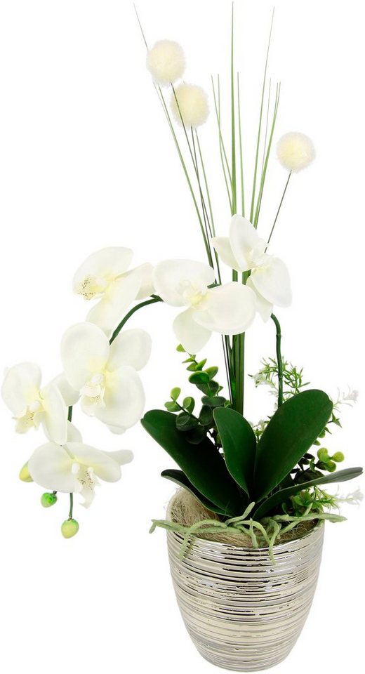 Kunstblume Arrangement Orchidee/Gras, I.GE.A., Höhe 60 cm, Topf aus Keramik von I.GE.A.