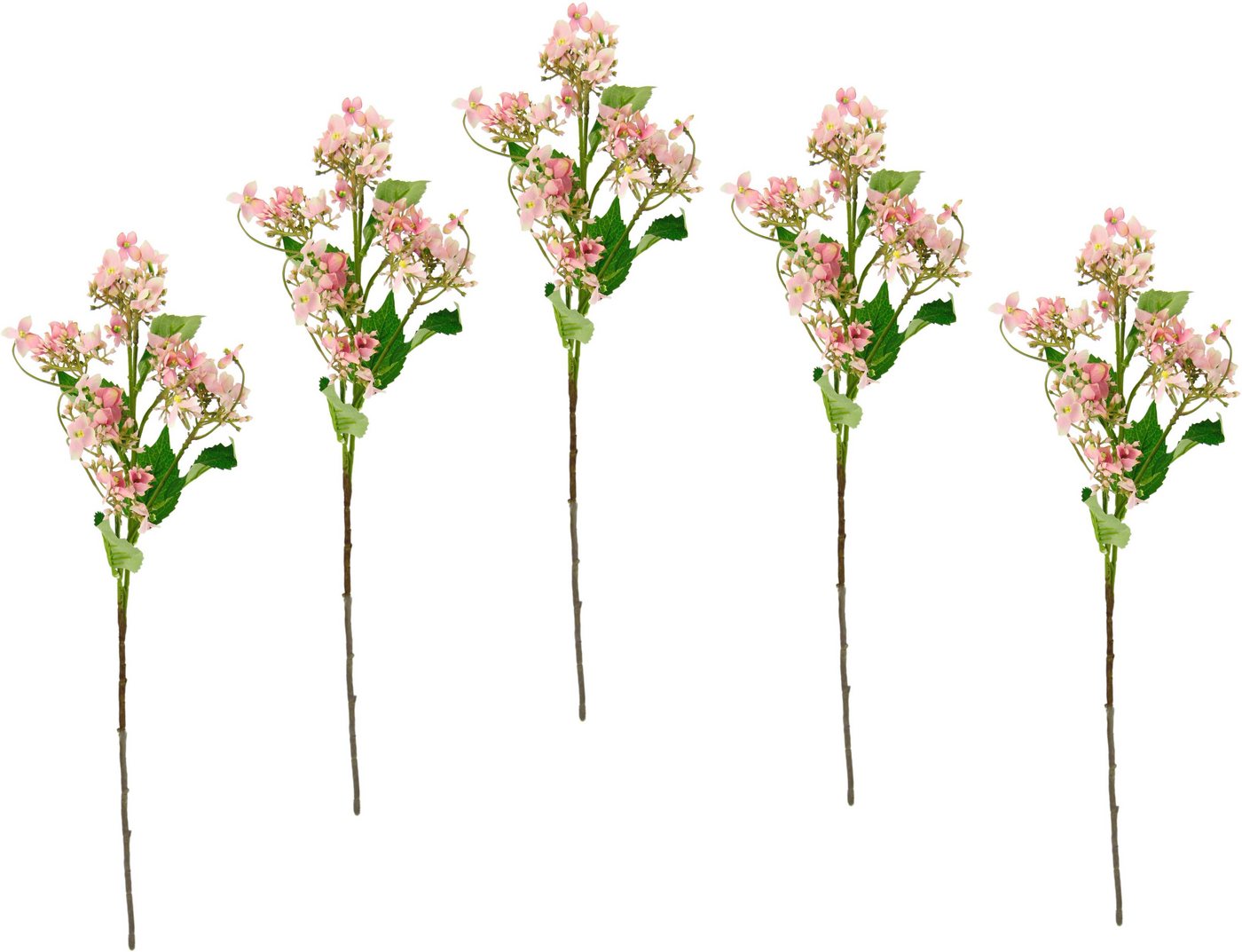 Kunstblume Blütenzweig, I.GE.A., Höhe 60 cm, 5er Set künstlicher Zweig, Kunstpflanze, Dekozweig von I.GE.A.