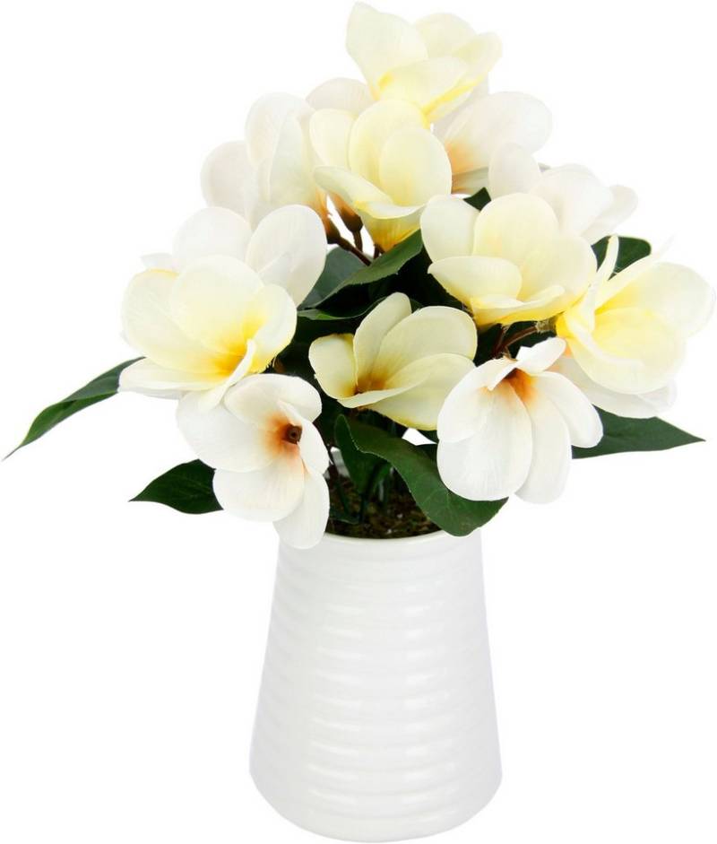 Kunstblume Frangipani in Vase aus Keramik, I.GE.A., Höhe 35 cm von I.GE.A.