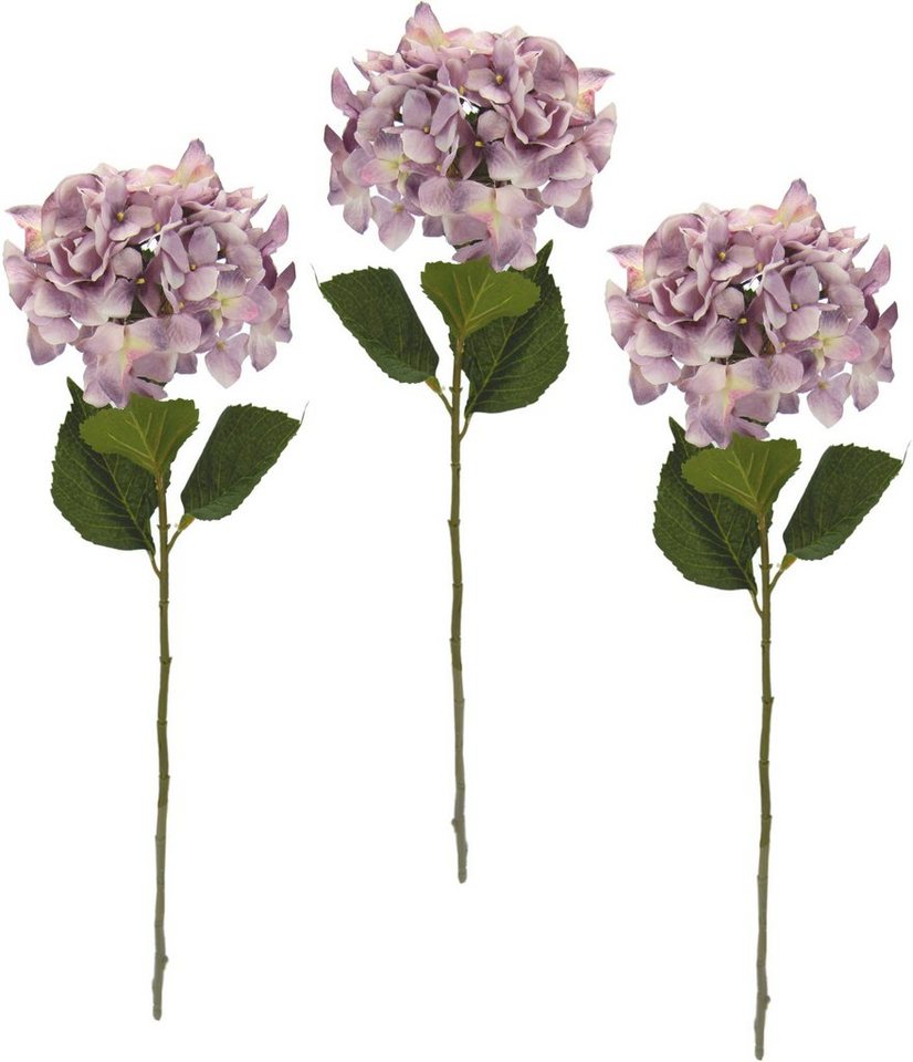 Kunstblume Hortensie, I.GE.A., Höhe 73 cm, 3er Set von I.GE.A.