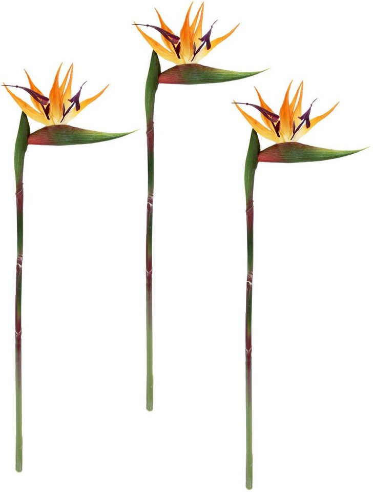 Kunstblume Künstliche Blume Strelitzie Paradiesvogelblume Exotischer Dekozweig, I.GE.A., Höhe 60 cm, Zweig Einzelblume Dekoblume Stielblume Hochzeit Dekoration von I.GE.A.