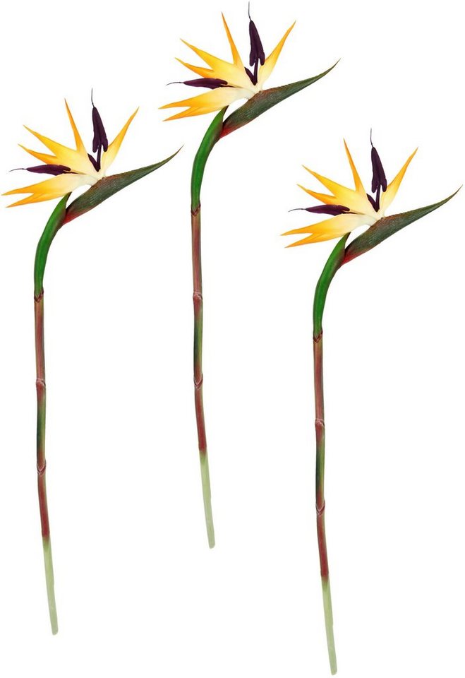 Kunstblume Künstliche Blume Strelitzie Paradiesvogelblume Exotischer Dekozweig, I.GE.A., Höhe 85 cm, Zweig Einzelblume Dekoblume Stielblume Hochzeit Dekoration von I.GE.A.