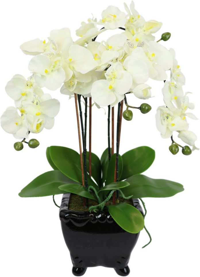 Kunstblume Künstliche Orchidee in Schale Phalaenopsis Kunstblume Blume, I.GE.A., Höhe 60 cm, Kunstorchidee Deko Dekoblume Seidenblume von I.GE.A.