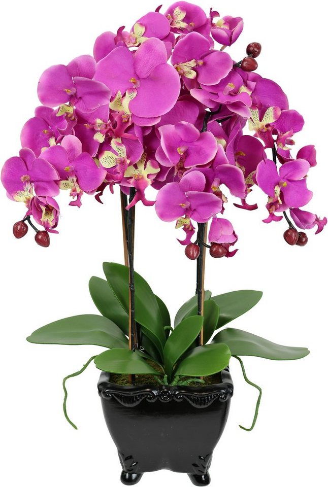 Kunstblume Künstliche Orchidee in Schale Phalaenopsis Kunstblume Blume, I.GE.A., Höhe 60 cm, Kunstorchidee Deko Dekoblume Seidenblume von I.GE.A.