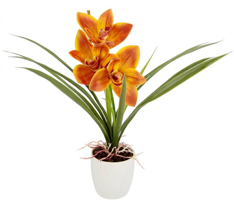 Kunstblume Orchidee, I.GE.A., Höhe 32 cm, Mit Blätter im Topf aus Keramik Künstliche Blume Cymbidium-Orchidee von I.GE.A.