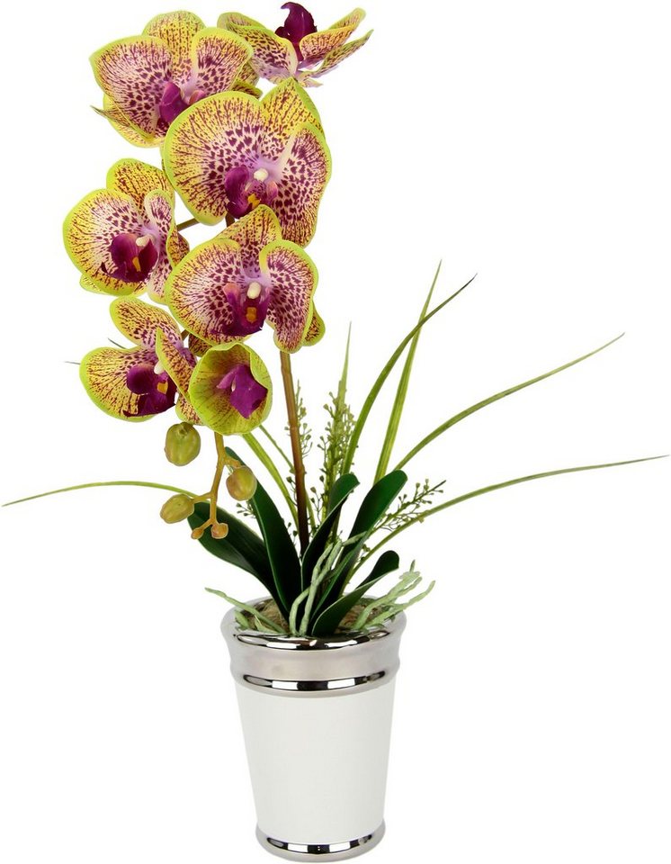 Kunstblume Orchidee, I.GE.A., Höhe 52 cm, im Topf, aus Keramik, Seidenblume Real Touch von I.GE.A.