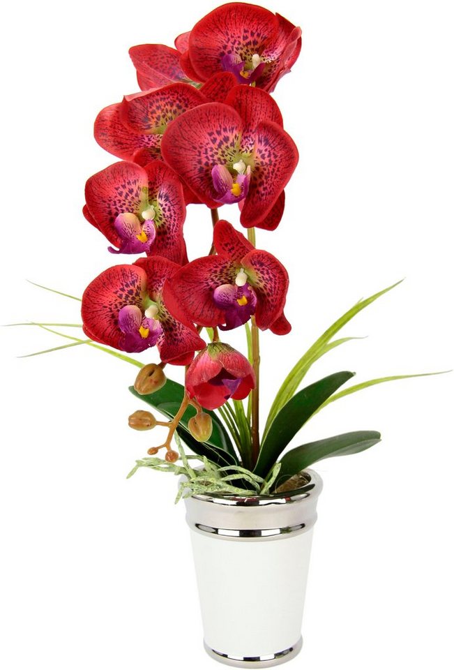 Kunstblume Orchidee, I.GE.A., Höhe 52 cm, im Topf, aus Keramik, Seidenblume Real Touch von I.GE.A.