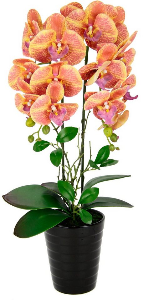 Kunstblume Orchidee, I.GE.A., Höhe 58 cm, Im Topf Phalaenopsis Orchidee Phalaenopsis mit Übertopf Hochzeit von I.GE.A.