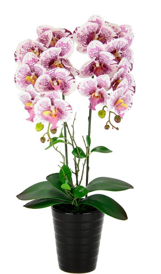 Kunstblume Orchidee, I.GE.A., Höhe 58 cm, Im Topf Phalaenopsis Orchidee Phalaenopsis mit Übertopf Hochzeit von I.GE.A.