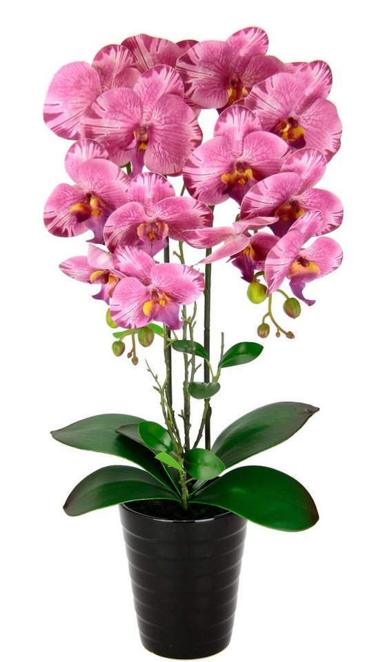 Kunstblume Orchidee, I.GE.A., Höhe 58 cm, Im Topf Phalaenopsis Orchidee Phalaenopsis mit Übertopf Hochzeit von I.GE.A.