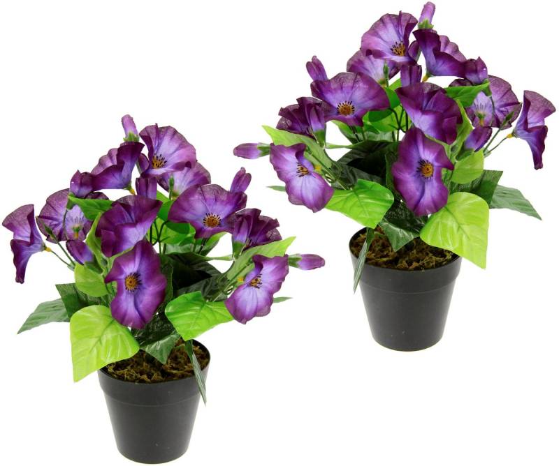 Kunstblume Petunien, I.GE.A., Höhe 27 cm, Im Topf, 2er Set Petunien Zierpflanze Glockenblume klein Blumen Deko von I.GE.A.