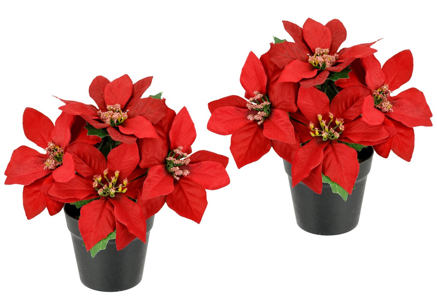 Kunstblume Poinsettia im Topf Christstern, I.GE.A., Höhe 17 cm, 2er Set Künstliche Blume Weihnachtsstern Christstern Weihnachtsdeko von I.GE.A.