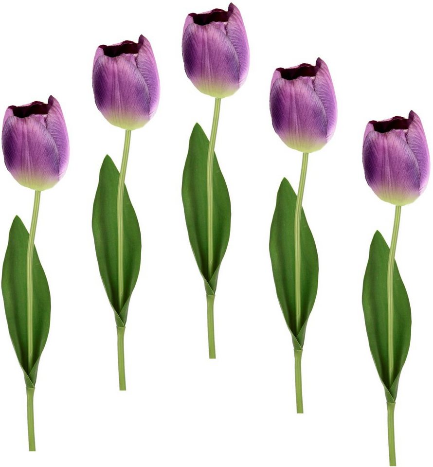Kunstblume Real Touch Tulpen, I.GE.A., Höhe 67 cm, 5er Set künstliche Tulpenknospen, Kunstblumen, Stielblume von I.GE.A.