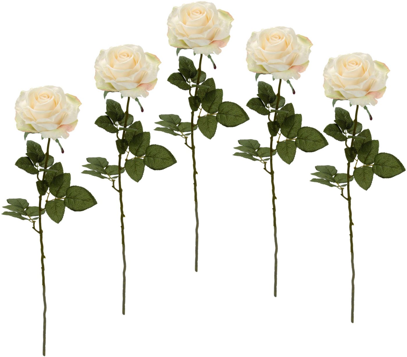Kunstblume Rose, I.GE.A., Höhe 68 cm, 5er Set von I.GE.A.