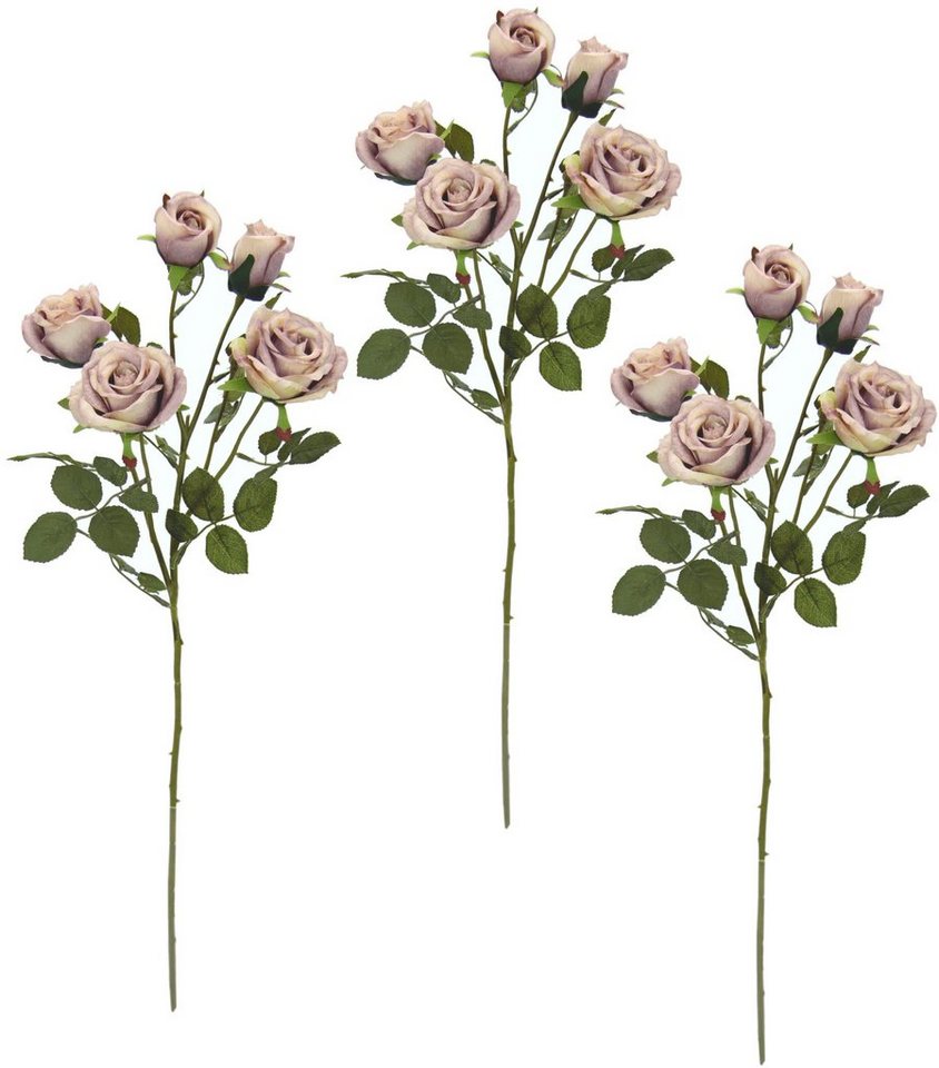 Kunstblume Rosenzweig, I.GE.A., Höhe 73 cm, 3er Set Kunstblume Rosenzweig, I.GE.A., Höhe 73 cm, 3er Set von I.GE.A.
