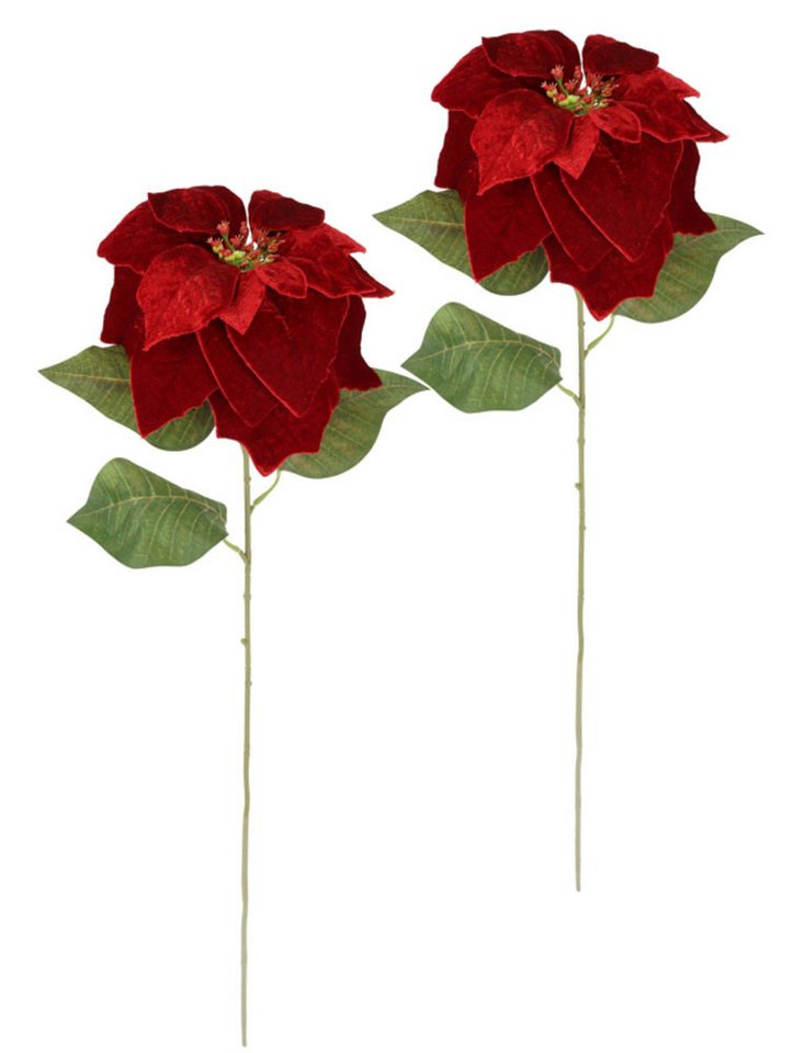 Kunstblume Samt-Poinsettia, I.GE.A., Höhe 74 cm, 2er Set Künstliche Blume Weihnachtsstern Weihnachtsdeko Adventsstern von I.GE.A.