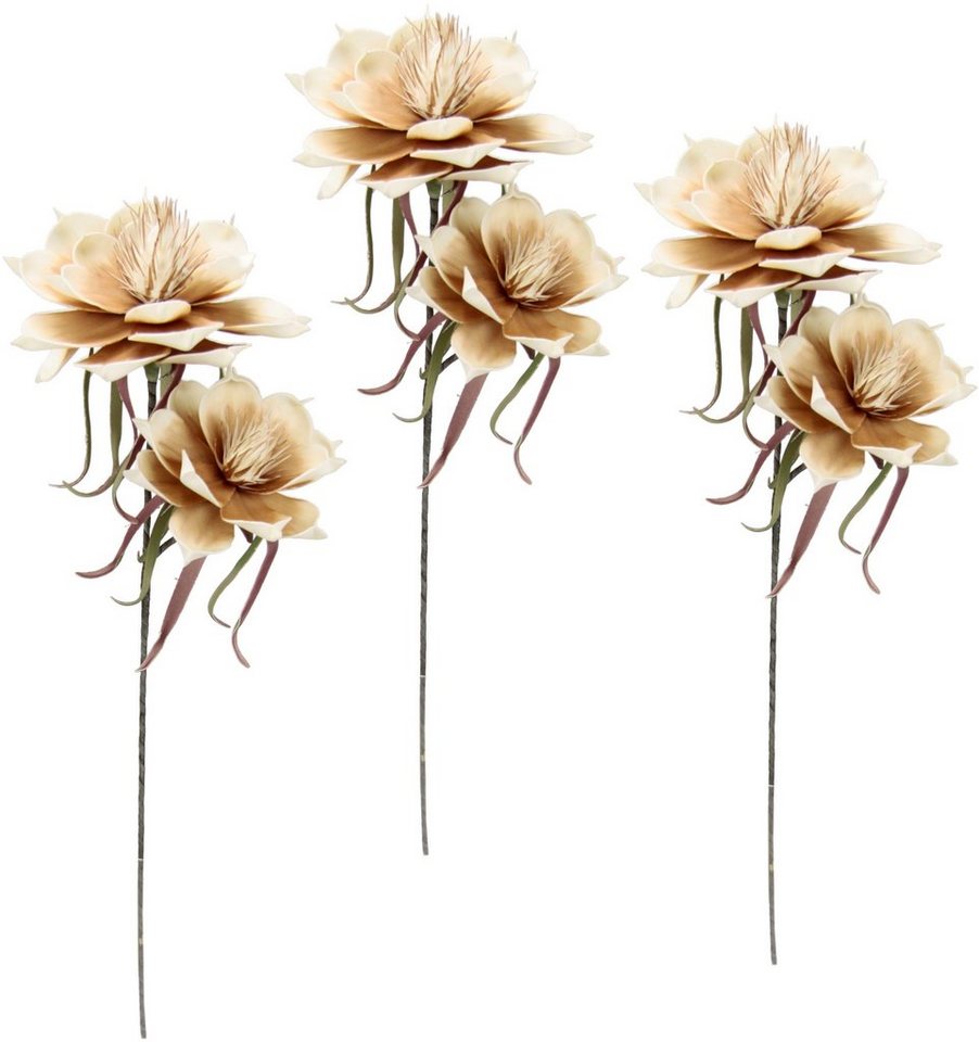 Kunstblume Soft-Magnolie, I.GE.A., Höhe 84 cm, 3er Set von I.GE.A.