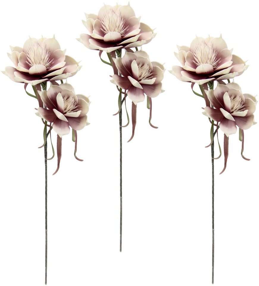 Kunstblume Soft-Magnolie, I.GE.A., Höhe 84 cm, 3er Set von I.GE.A.