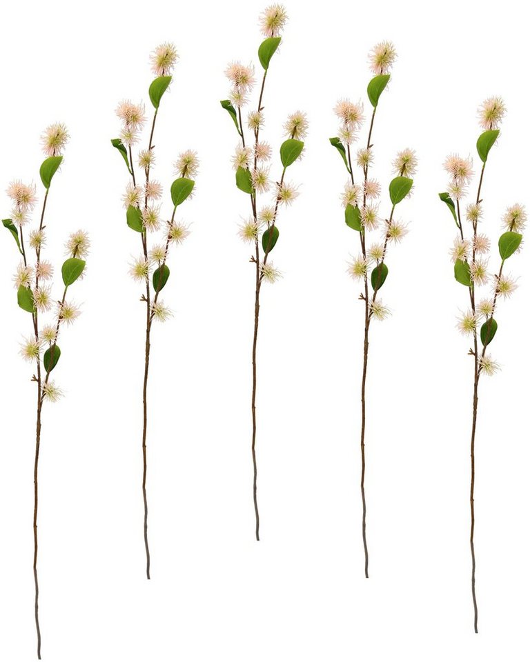 Kunstblume Zaubernuss, I.GE.A., Höhe 100 cm, 5er Set von I.GE.A.