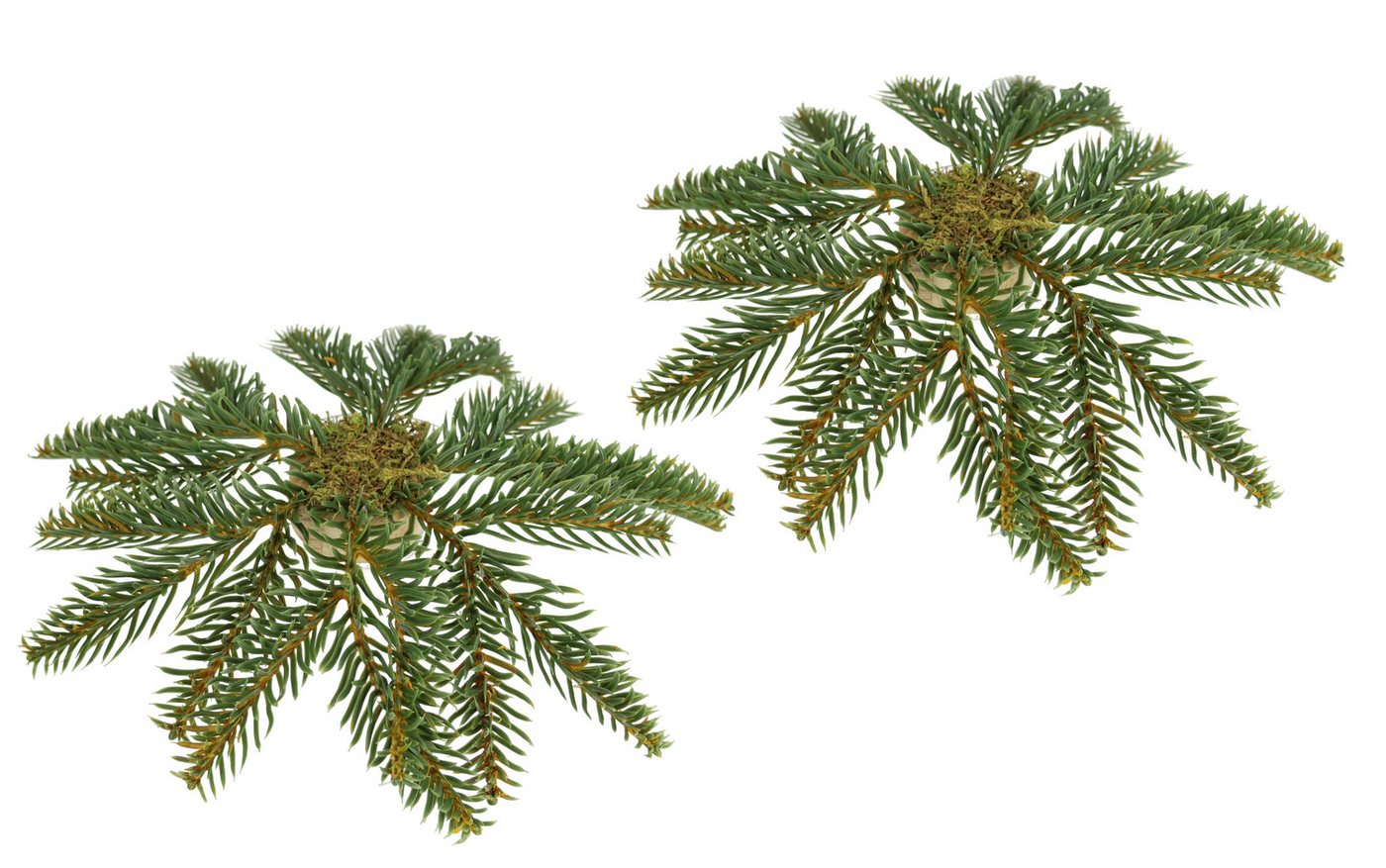 Kunstkranz Tannen-Leger, I.GE.A., Höhe 3 cm, 2er Set Basis für Kränze Arrangements Tannen-Aufleger Dekotanne Kunstkranz Tannen-Leger, I.GE.A., Höhe 3 cm, 2er Set Basis für Kränze Arrangements Tannen-Aufleger Dekotanne von I.GE.A.
