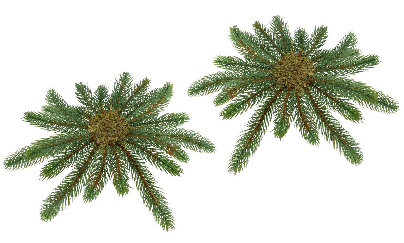 Kunstkranz Tannen-Leger, I.GE.A., Höhe 4 cm, 2er Set Basis für Kränze Arrangement Tannen-Aufleger Tischleger Kunstkranz Tannen-Leger, I.GE.A., Höhe 4 cm, 2er Set Basis für Kränze Arrangement Tannen-Aufleger Tischleger von I.GE.A.