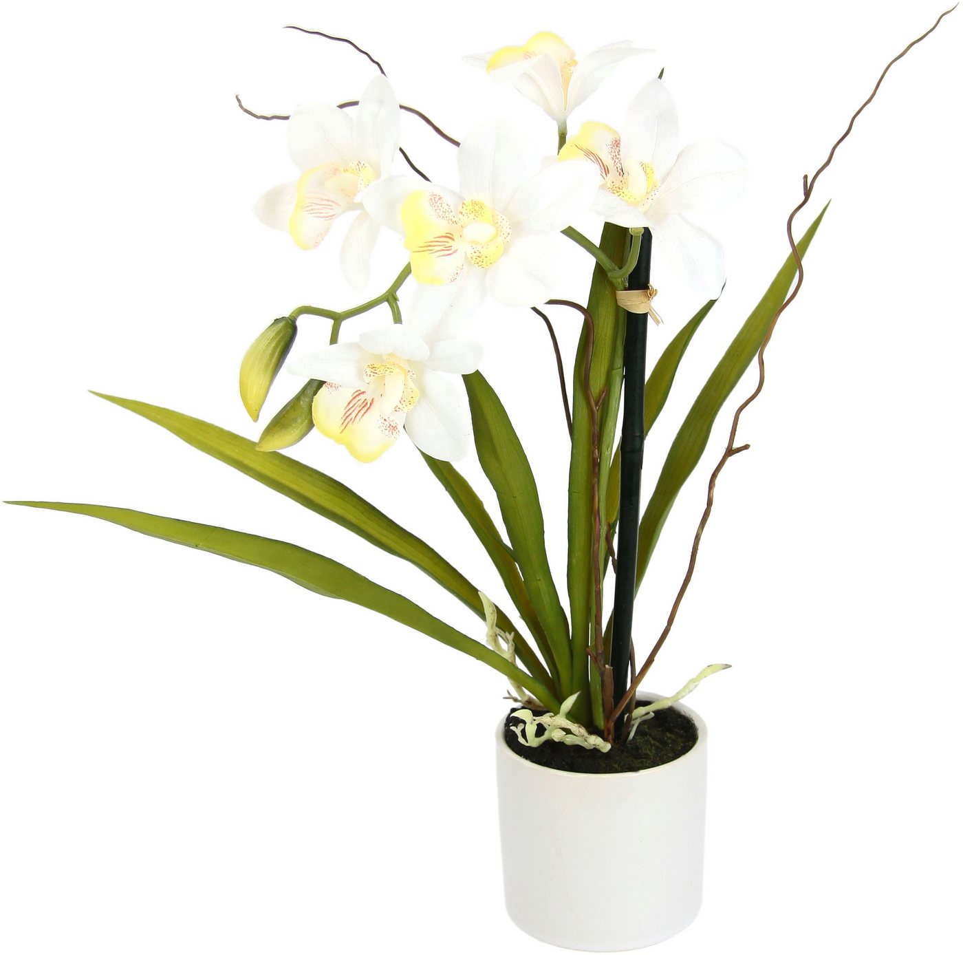Kunstorchidee Orchidee, I.GE.A., Höhe 33 cm, im Keramiktopf von I.GE.A.