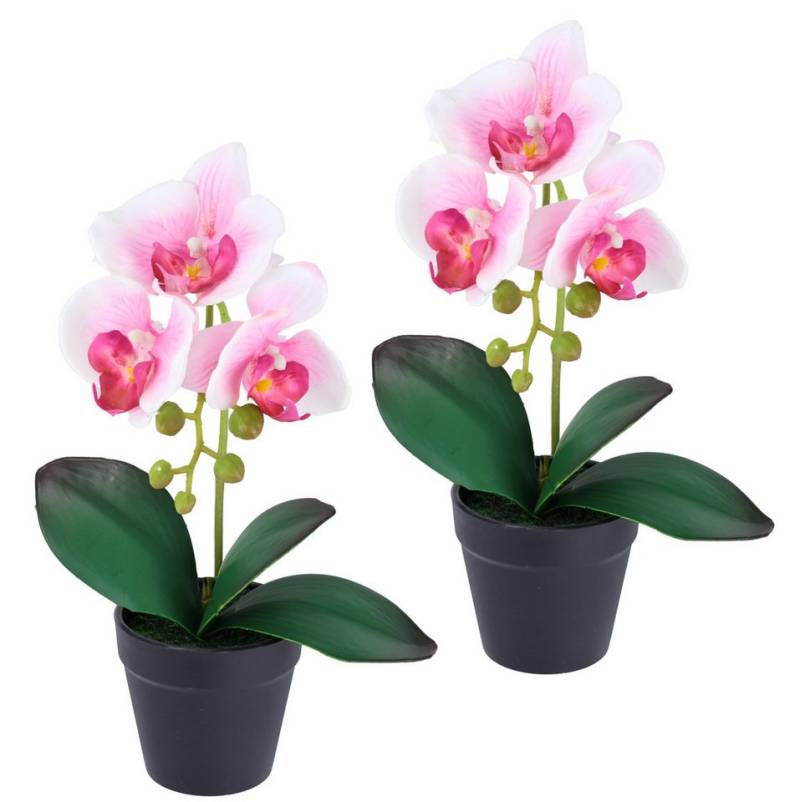 Kunstorchidee Orchidee im Topf 2er Set, I.GE.A., Höhe 30 cm, Künstliche Phalaenopsis 30cm Real Touch Blume Kunstblume Seidenblume von I.GE.A.