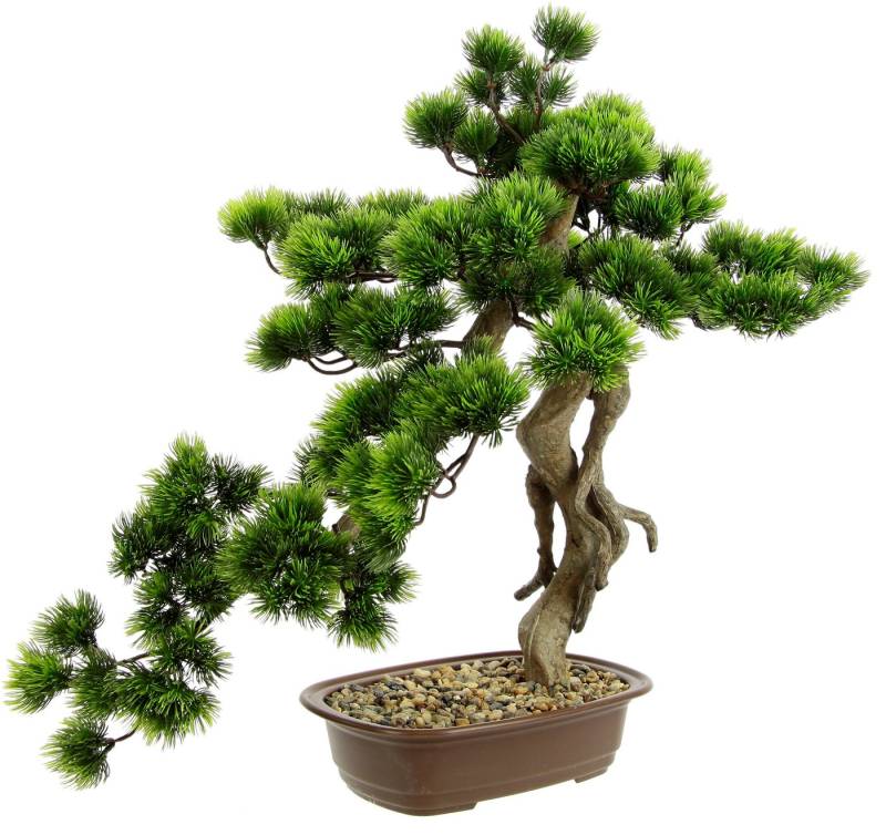 Kunstpflanze Bonsai Baum in Schale, I.GE.A., Höhe 58 cm, Exotische Bäume Zen Garten von I.GE.A.