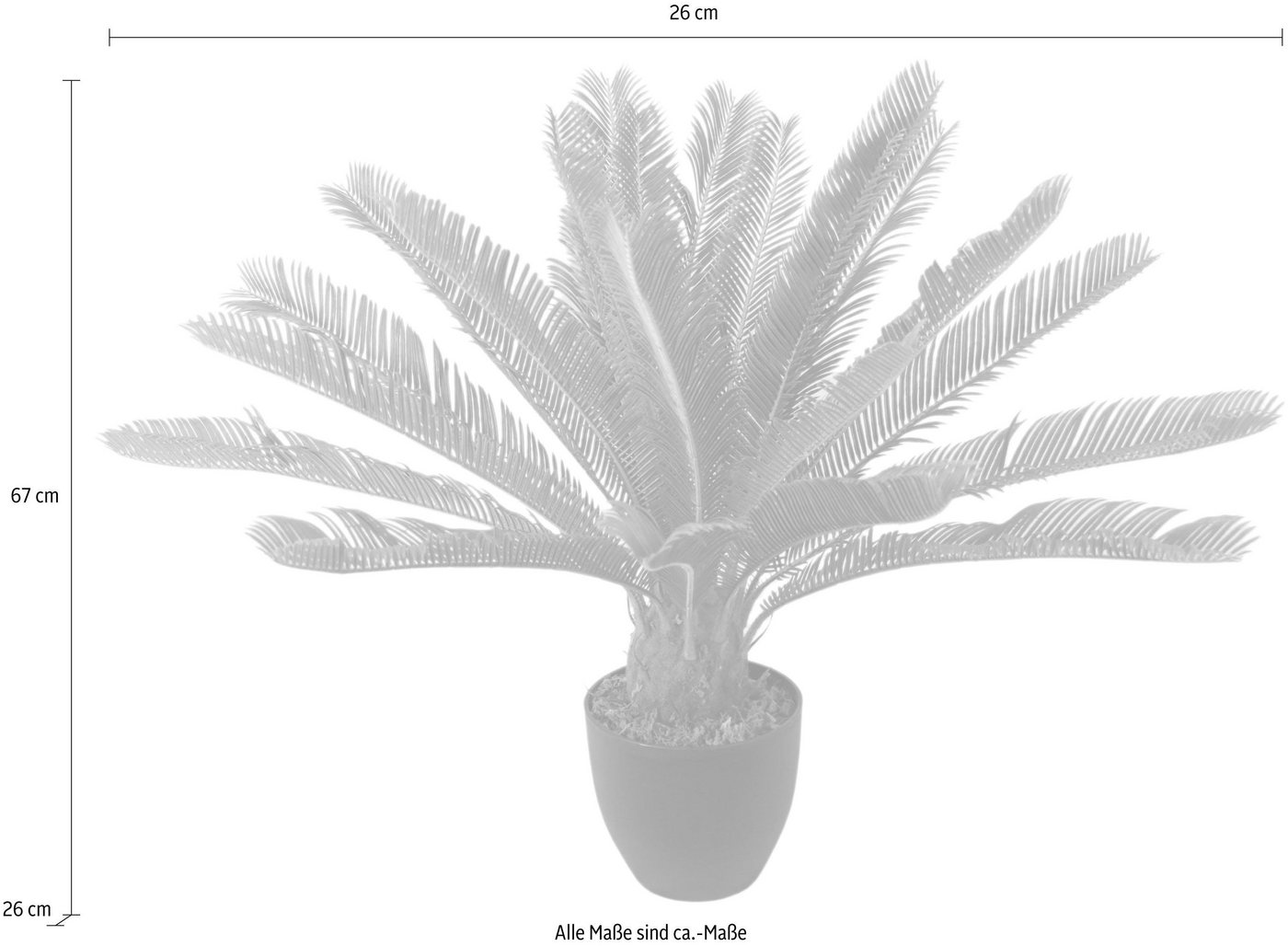 Kunstpflanze Cycaspalme im Topf Cycaspalme, I.GE.A., Höhe 67 cm von I.GE.A.