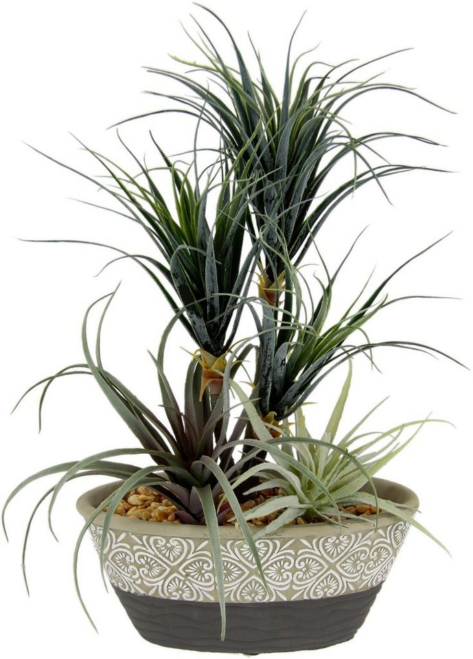 Kunstpflanze Dracena/Tillandsia Dracena Tillandsia, I.GE.A., Höhe 31 cm, Im Übertopf aus Keramik von I.GE.A.