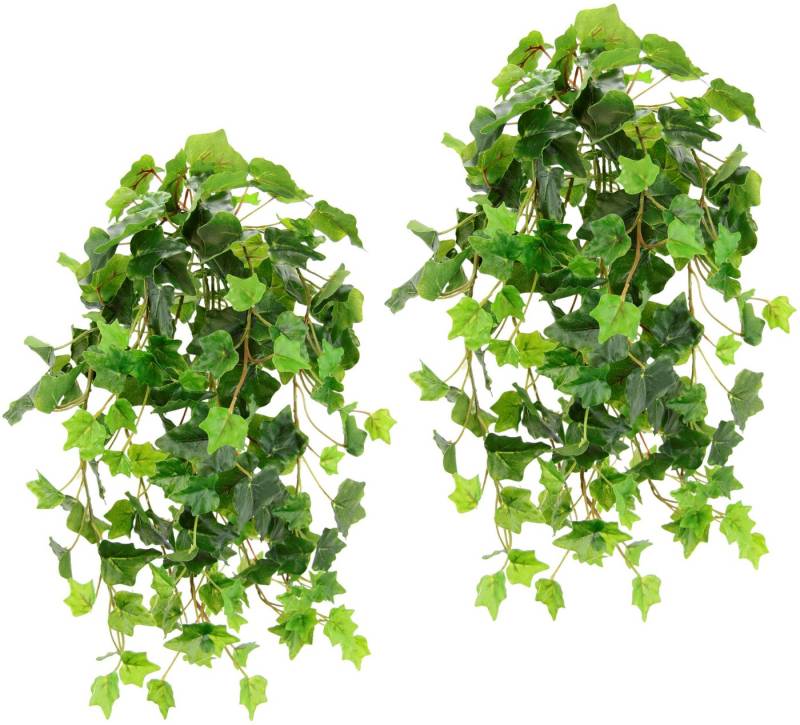 Kunstpflanze Efeuhänger, I.GE.A., Höhe 53 cm, 2er Set von I.GE.A.