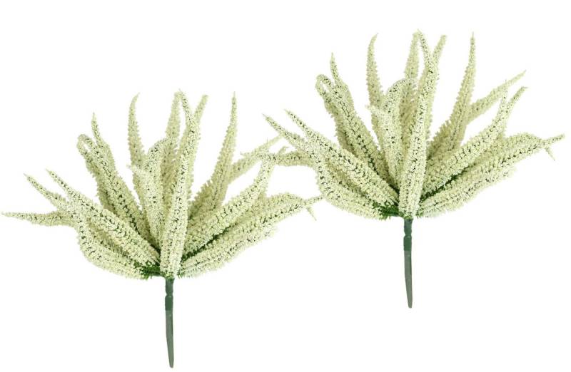 Kunstpflanze Erikabusch 2er Set, I.GE.A., Höhe 25 cm, 25cm Heidenkraut Strauch Dekopflanze Dekoblume Bouquet Pflanze von I.GE.A.