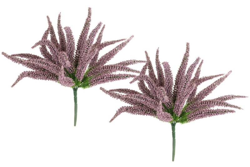 Kunstpflanze Erikabusch 2er Set, I.GE.A., Höhe 25 cm, 25cm Heidenkraut Strauch Dekopflanze Dekoblume Bouquet Pflanze von I.GE.A.