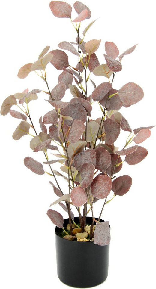 Kunstpflanze Eukalyptus, I.GE.A., Höhe 60 cm, Im Topf, mit Natursteinchen von I.GE.A.